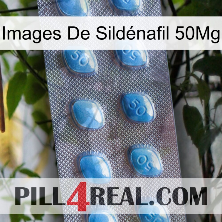 Images De Sildénafil 50Mg viagra3